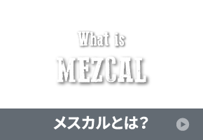 wg_nav_thumb_7_mezcal_upper.png