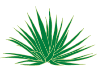 <label class="text-docktrin font-color-mezcal-red">Jabalí</label>ハバリ