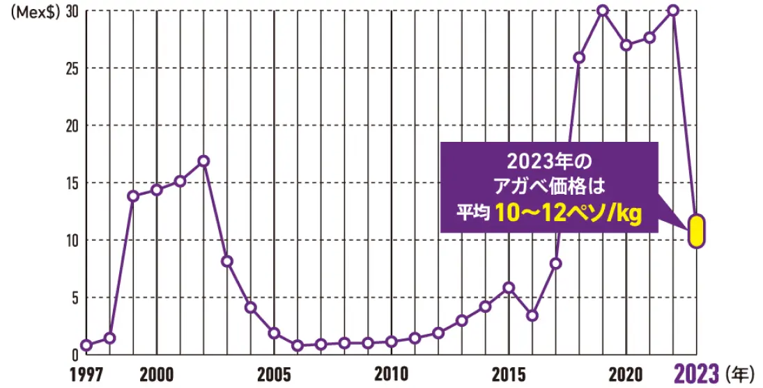 アガベアスルのキロあたりの価格