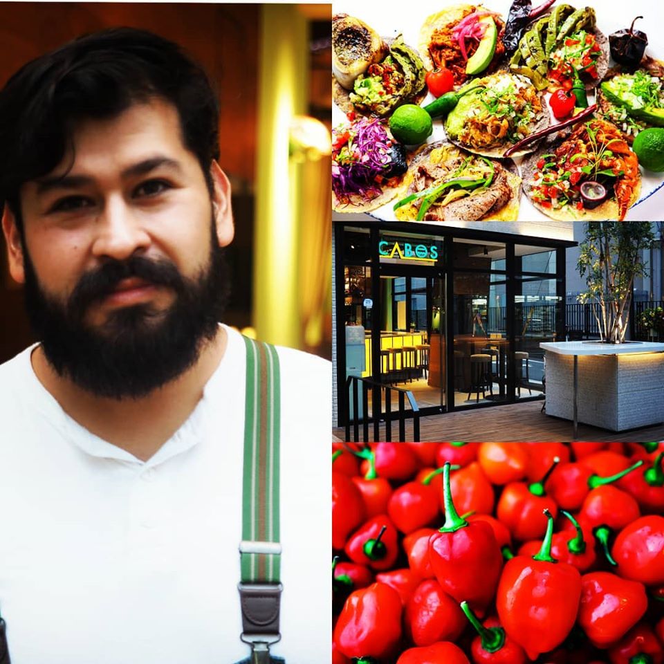 8月17日に旅行会社HISが企画するオンラインセミナー「メキシコ料理の第一歩!食材や歴史についてエキスパートから楽しく学ぼう」が開催