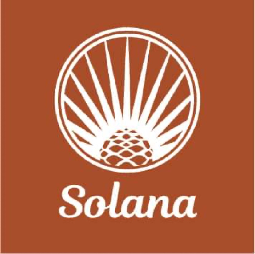 Solana（ソラナ）