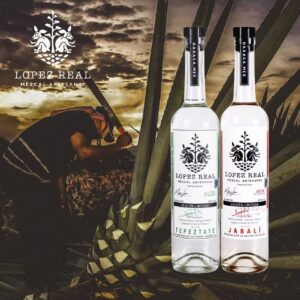 ジェイドックス株式会社よりメキシコ産クラフトメスカル ロペスレアル 野生種2種を数量限定にて販売開始― テペスタテ、ハバリ取り扱い開始。トバラ、クイシェ、ペチュガも数量限定再入荷。